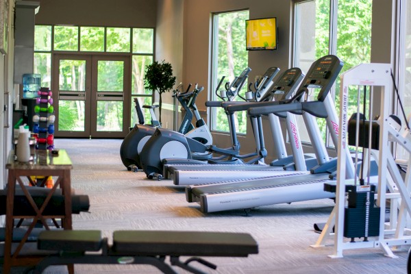 This image shows a modern gym with treadmills, stationary bikes, a weight rack, an exercise bench, and other fitness equipment.