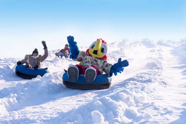Two people and a character in a bird costume are riding inflatable tubes down a snowy hill, waving and enjoying the winter activity.