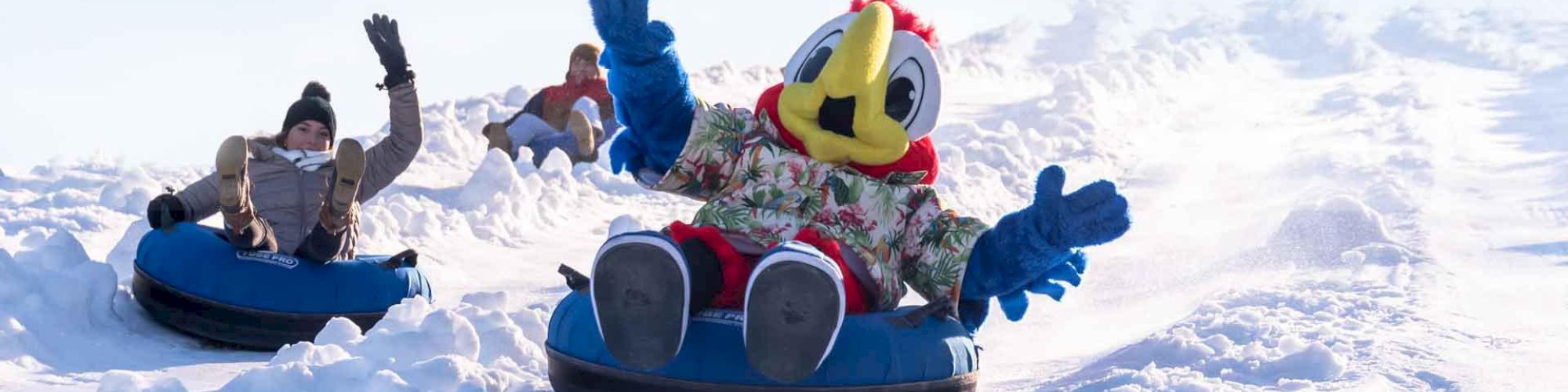 Three individuals, including one in a bird mascot costume, are tubing down a snow-covered hill, raising their arms in enjoyment in the image.