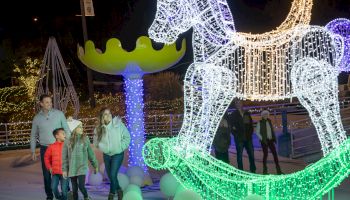 A group of people walk near a large, illuminated rocking horse and other festive light displays during a nighttime outing.