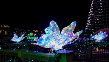 The image shows illuminated butterfly-shaped decorations and festive lights at night in an outdoor setting, possibly during a holiday celebration.