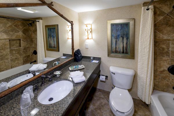 A well-lit bathroom with a large mirror, granite countertop, sink, toilet, bathtub with a shower curtain, two framed paintings, and modern lighting.