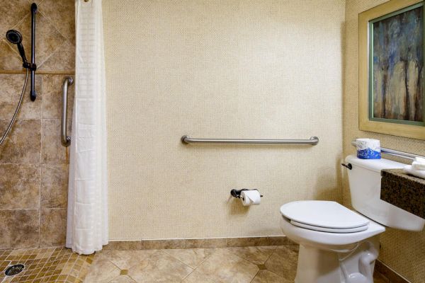 A bathroom featuring a shower with a tile design, a toilet with grab bars nearby, a roll of toilet paper, and a framed painting on the wall.