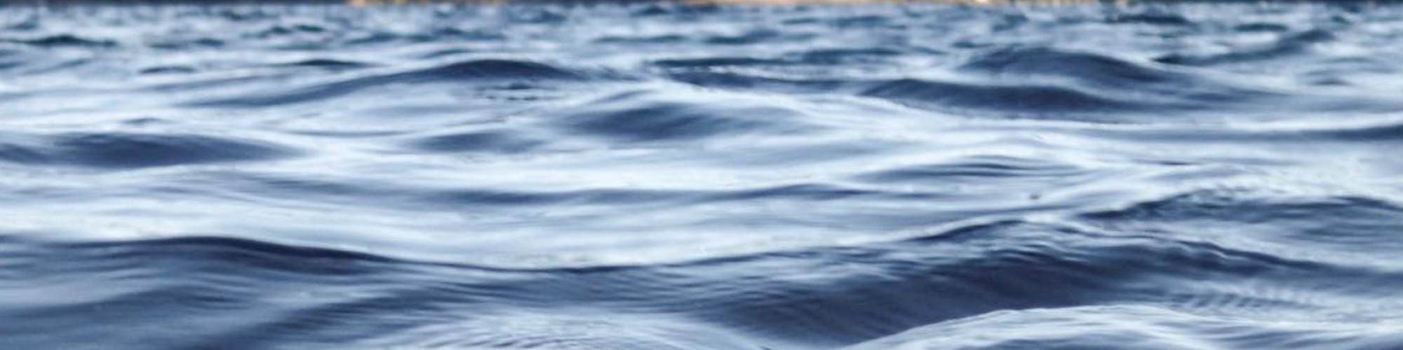 A view of a calm water surface with gentle ripples, framed by a dense forest of tall trees in the background under a clear sky.