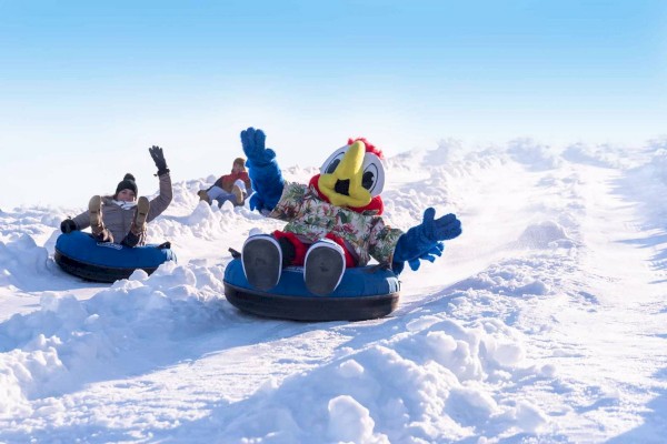 A person in a colorful bird costume and others are having fun snow tubing down a snowy hill, waving their hands in excitement.